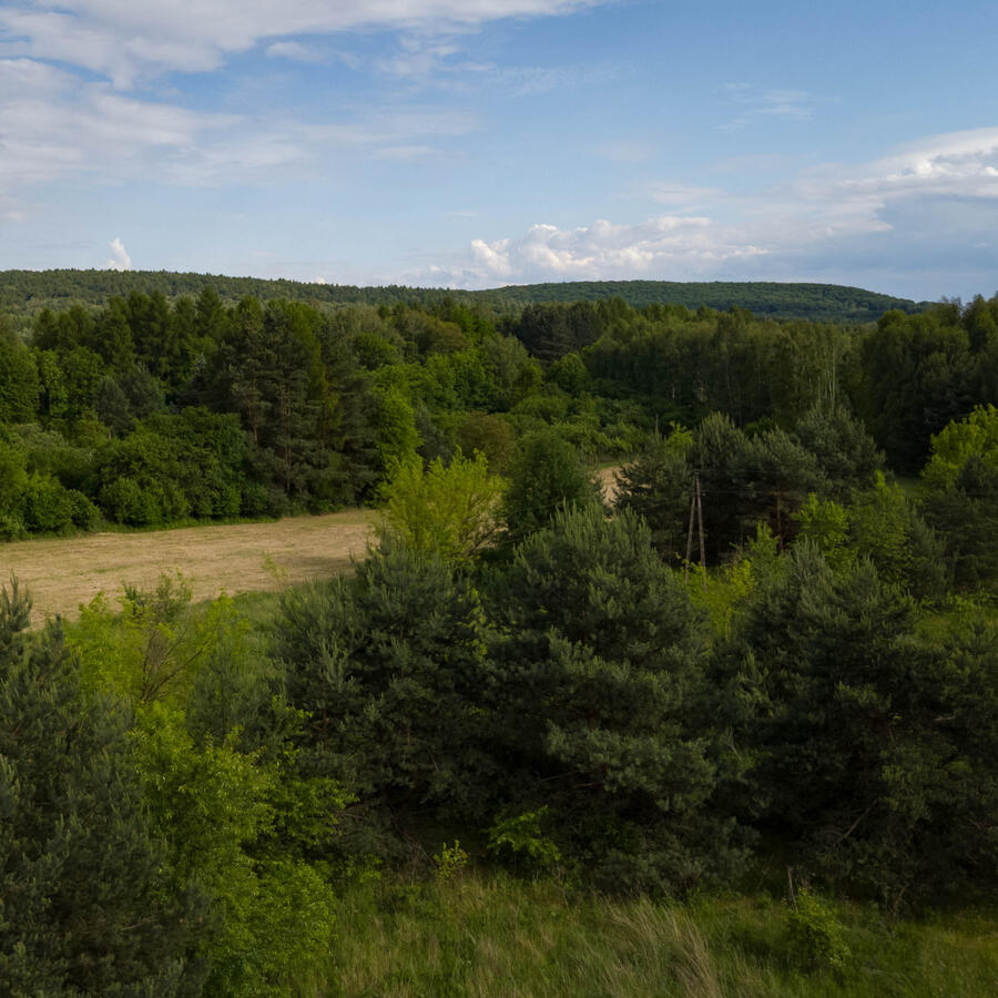 Drone Photography - Forest Drone Photography - Forest