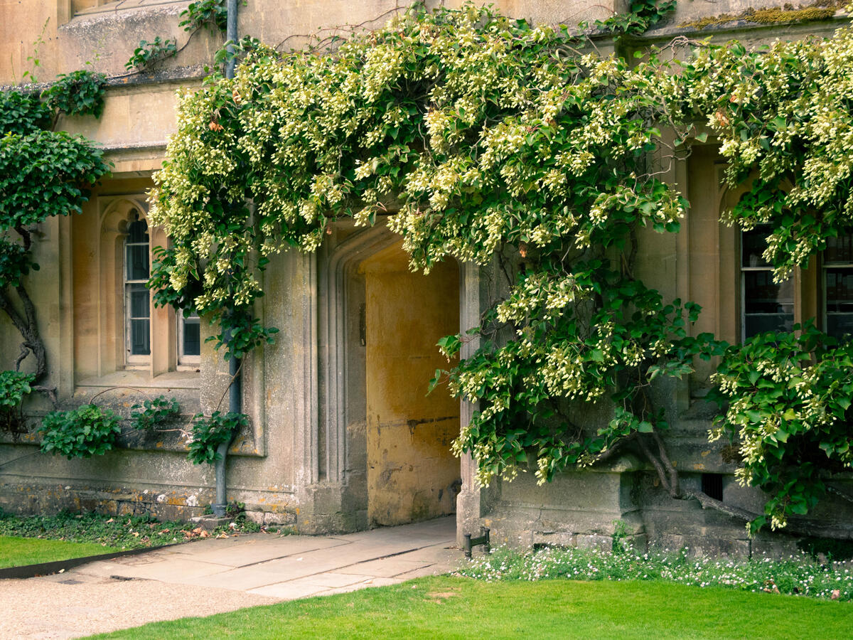 Oxford-4 Cabu Cabins
